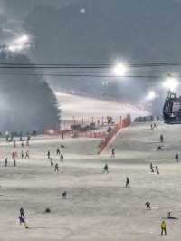 겨울 여행 최고봉, 홍천 비발디파크❄️⛷️🏂