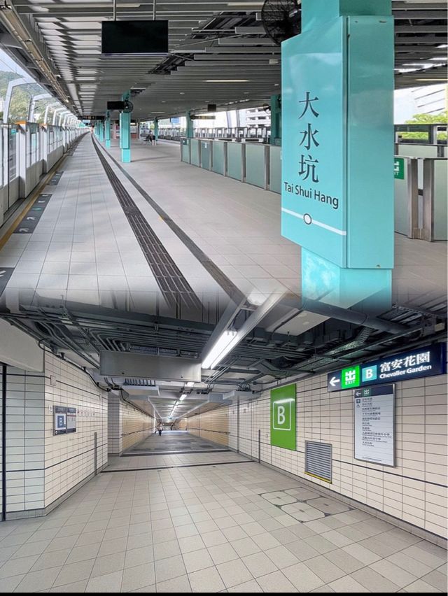 香港新手行山🍀茅坪藤皇+竹林隧道路線