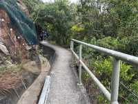 Wong Nai Chung trail down to Stanley