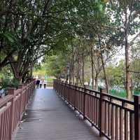 寶安區最美湖泊公園 立新湖 