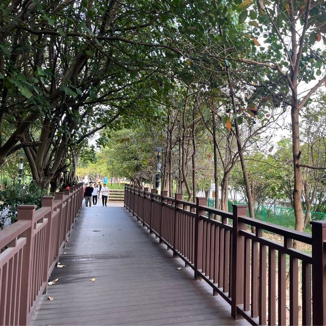 寶安區最美湖泊公園 立新湖 