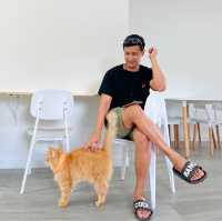 พาน้องๆ หนีแมวไปที่  "Begin Station coffee eatery"