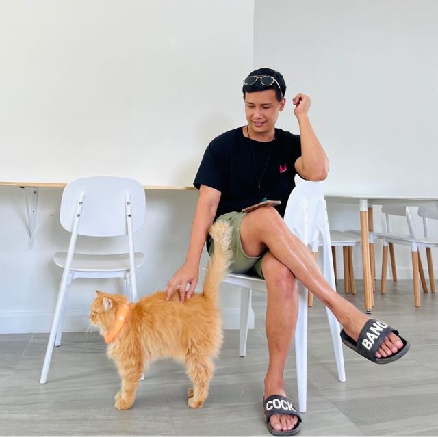 พาน้องๆ หนีแมวไปที่  "Begin Station coffee eatery"