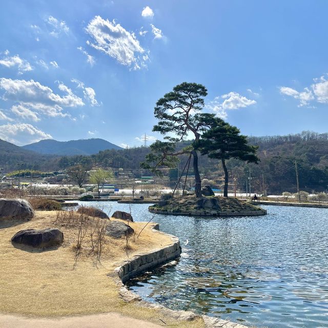 대구 매화 명소 남평문씨본리세거지🧚🏻♀️ 대구 매화 명소 남평문씨본리세거지🧚🏻♀️