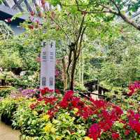 Entopia - Penang Island, Malaysia