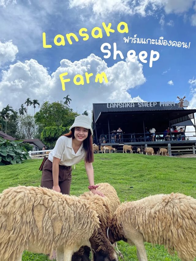 ฟาร์มแกะเมืองคอน🐑 Lansaka sheep farm