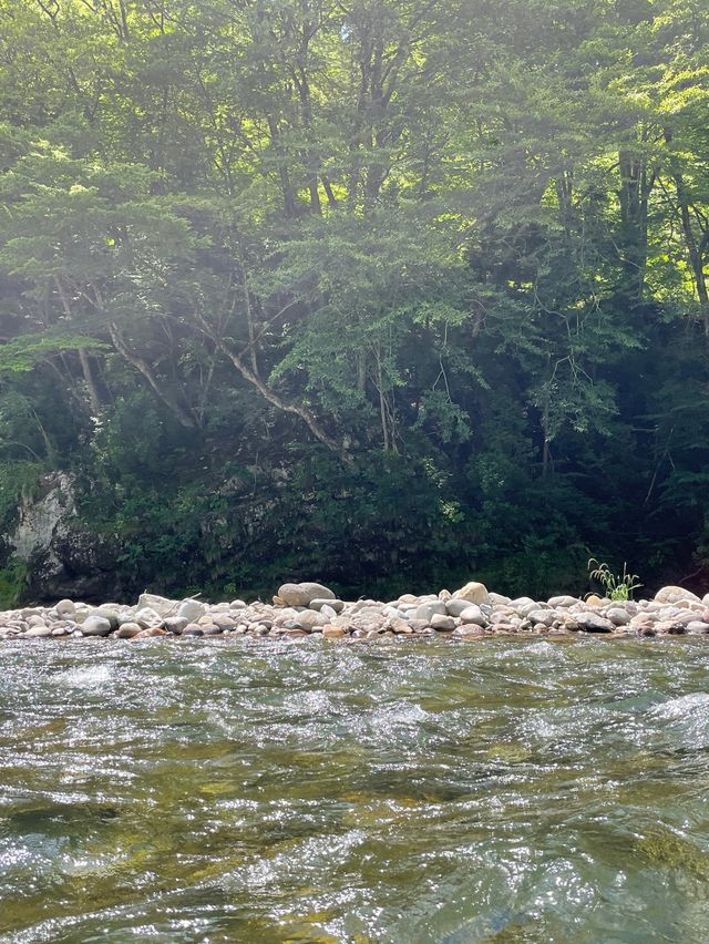 河上泛舟🚣‍♀️體驗‼️鬼怒川遊覽船❤️40分鐘河上旅程🥰