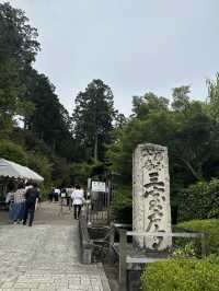 【京都】三室戸寺あじさい園