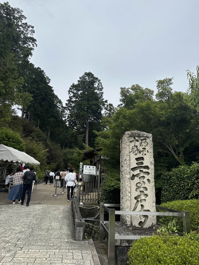 【京都】三室戸寺あじさい園
