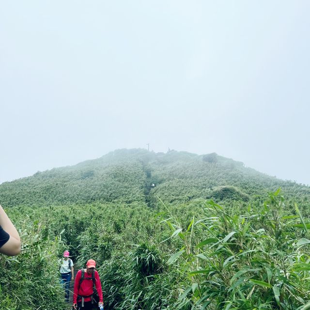 The best mountain to climb in Taipei!