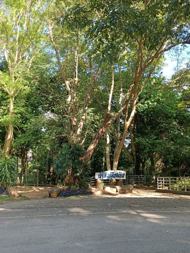 น้ำตกเพียงดิน🏞️
