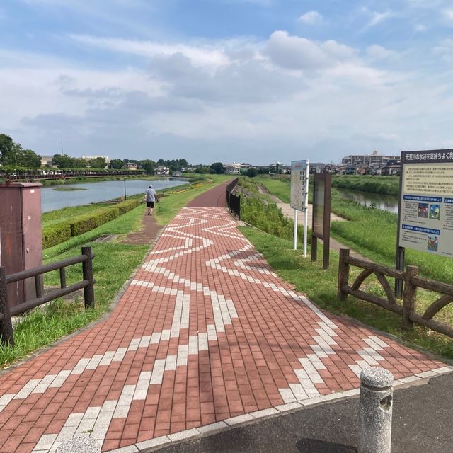 元荒川の中洲　「葛西親水緑道」「藤棚通り」