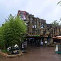 韓國🇰🇷愛寶樂園Everland😍參觀可愛熊貓館🐼