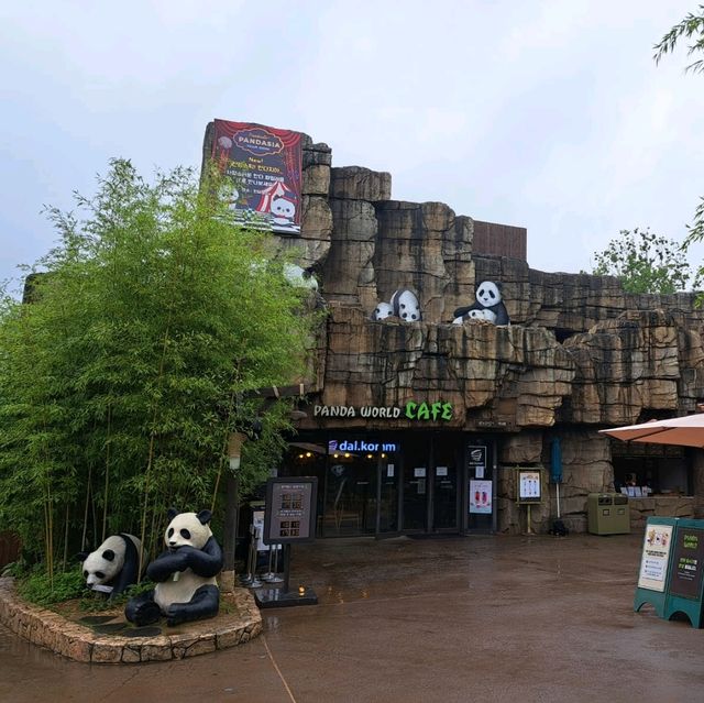 韓國🇰🇷愛寶樂園Everland😍參觀可愛熊貓館🐼