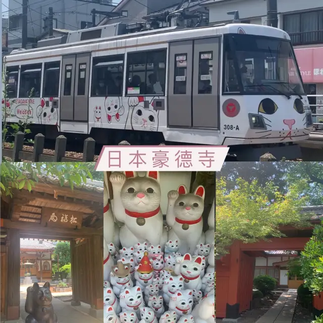 ［東京景點］招財貓神社｜好多對眼望住你