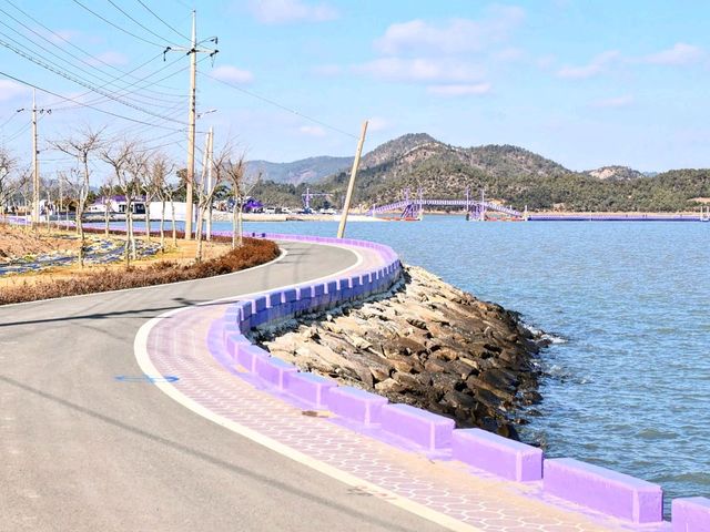 온통 보라보라한 섬에 홀딱 반하다. 신안 퍼플섬