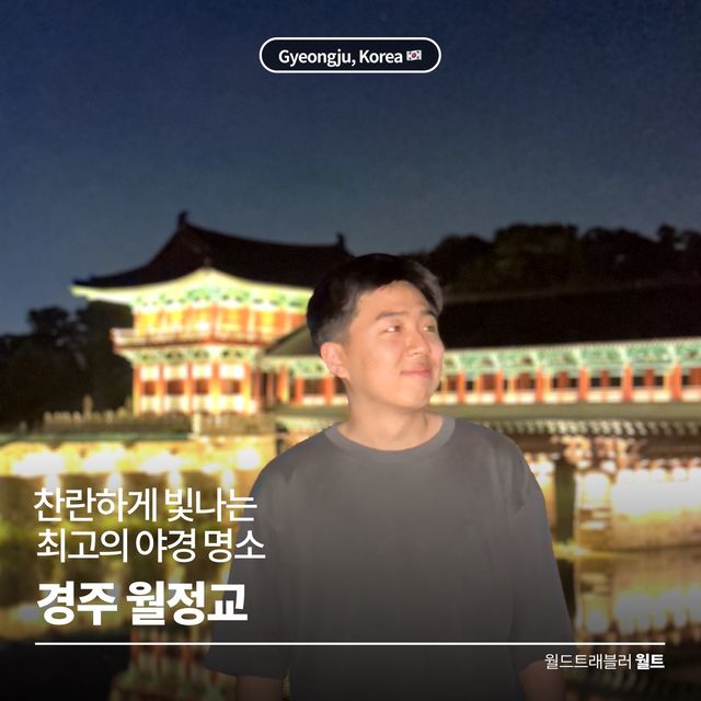 찬란하게 빛나는 최고의 야경 명소 🌉 경주 월정교