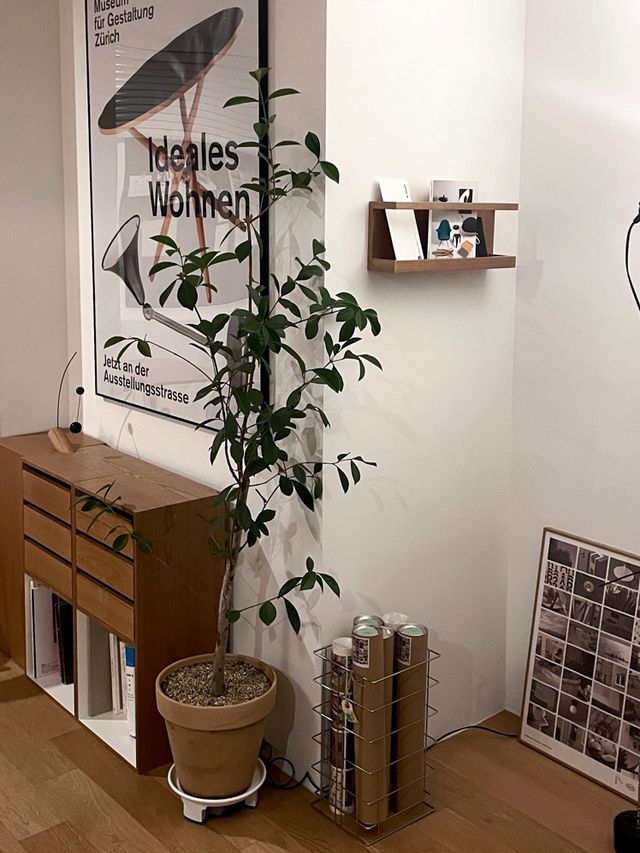 감각적이고 조용한 연남동 카페 브라운하우스☕️🤎