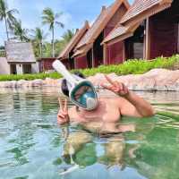 swim reef สระว่ายน้ำปะการังที่ใหญ่ที่สุดในอาเซียน