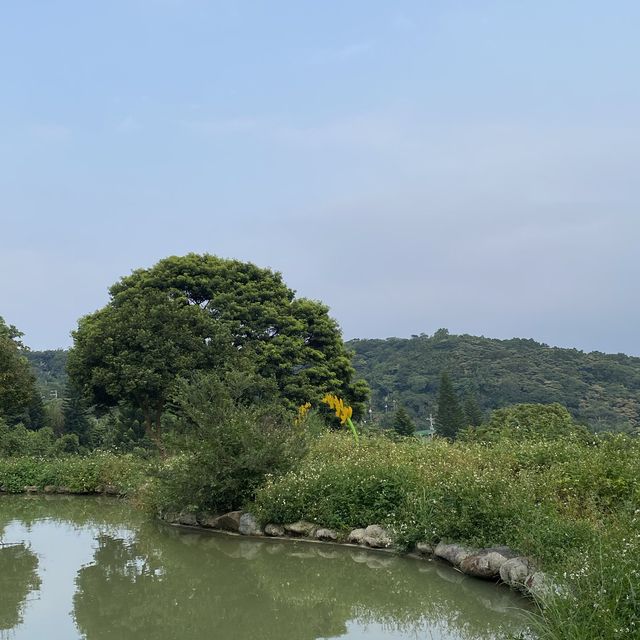 龍泉步道🍵