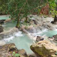 สวนรุกขชาติวังก้านเหลือง