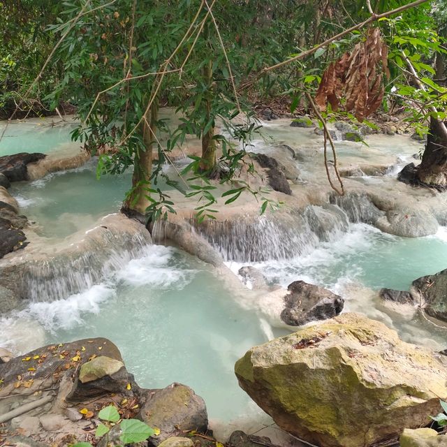 สวนรุกขชาติวังก้านเหลือง