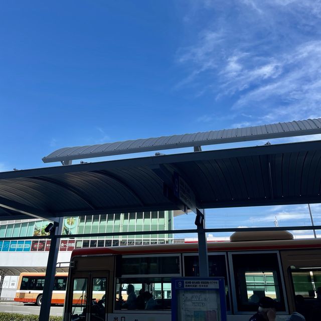 【兵庫県】明石近郊の台所「魚の棚商店街」