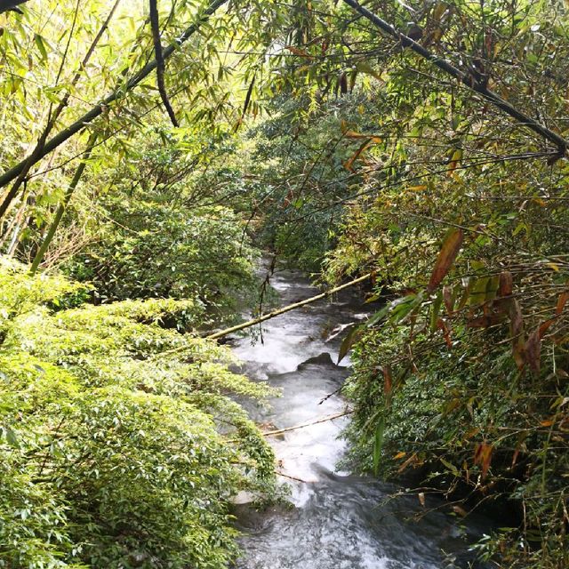 祕境溪流古道 ~ 狗慇勤古道