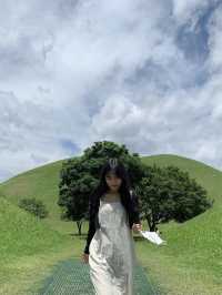 ๊ฒฝ์ฃผ | ์ด๋ ๊ฒ ์ฌ์ง์ด ์ ๋์๋ ๋๋์? โ๋๋ฆ์โ ๐ณ