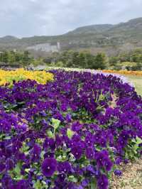 花海與歡樂童話🌺🎠🌳 國營明石海峽公園