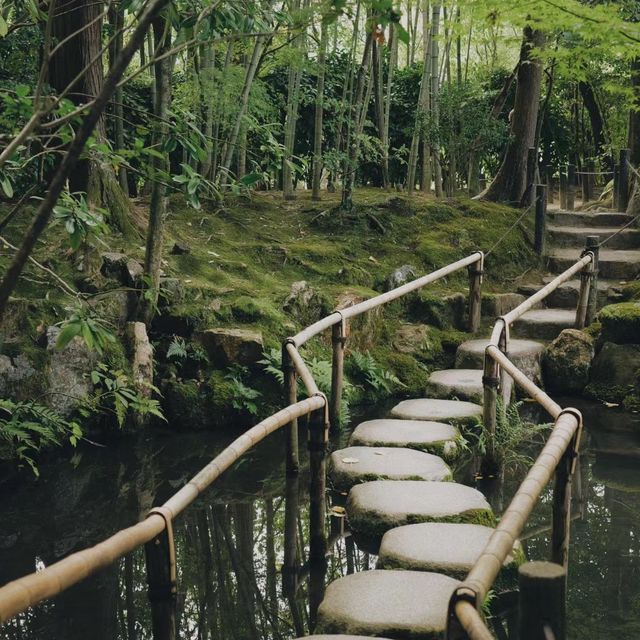 天授庵庭園～靜謐與自然🍵🌸🏯