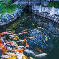 ✨深圳~蘇式園林~錦繡園✨