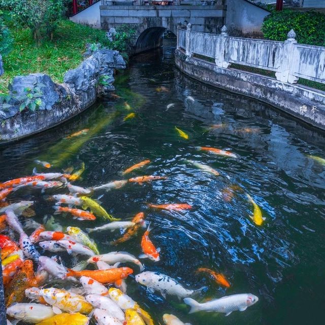 ✨深圳~蘇式園林~錦繡園✨