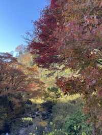 【京都府/一の鳥居・梶取社】貴船神社だけじゃない！