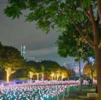 添馬公園…..春日燈飾