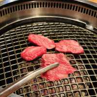高質日式燒肉 ～和牛燒肉·純