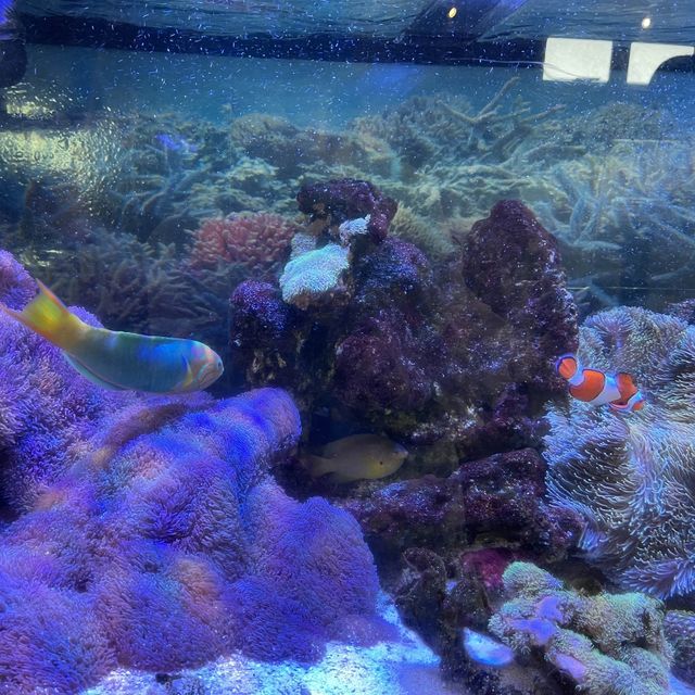 宮古島　天気が悪くても楽しめるスポット！
