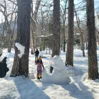눈이 가득한 삿포로의 마루야마 공원 円山公園 일본여행