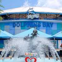 Dolphins Bay Phuket