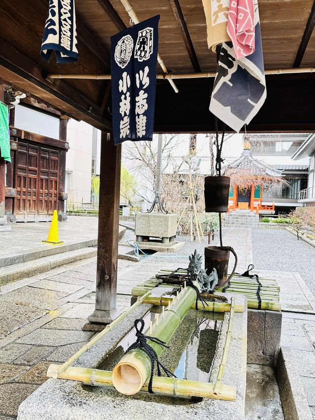京都市中心「頂法寺」可愛鴿子御守