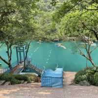 [ベトナム]世界遺産フォンニャケバン国立公園