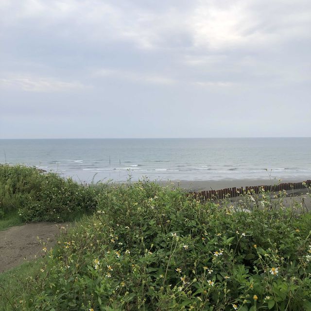 望海步道草地區