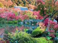เที่ยวใบไม้เปลี่ยนสี เกียวโต วัดเอกันโดเซ็นริน 🍁⛩️