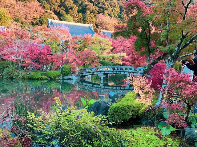 เที่ยวใบไม้เปลี่ยนสี เกียวโต วัดเอกันโดเซ็นริน 🍁⛩️