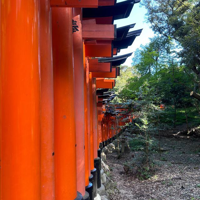 Taking in the infamous orange arches. 