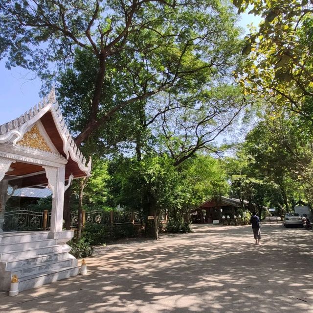 วัดป่าธรรมโสภณ