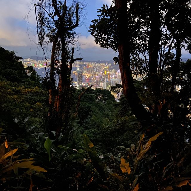 香港🇭🇰 |欣賞港九的好地方🏙️ - 山頂 香港🇭🇰 |欣賞港九的好地方🏙️ - 山頂