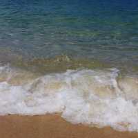 🌊 강릉의 푸르름, 파란 바다의 송정해변에서 힐링을