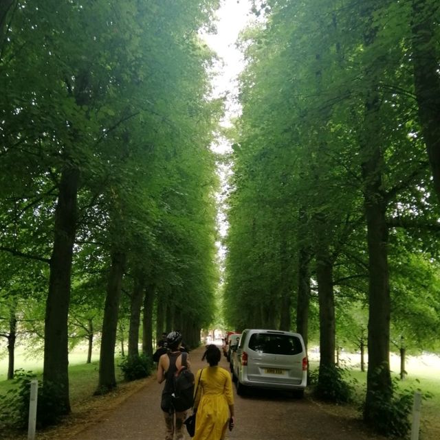 A Fascinating Journey through History and Academia: Exploring Cambridge's Museums, King's College, and the Picturesque River