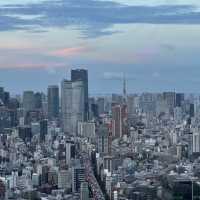 征服天際的刺激之旅！Shibuya Sky 🌆🌟🌉